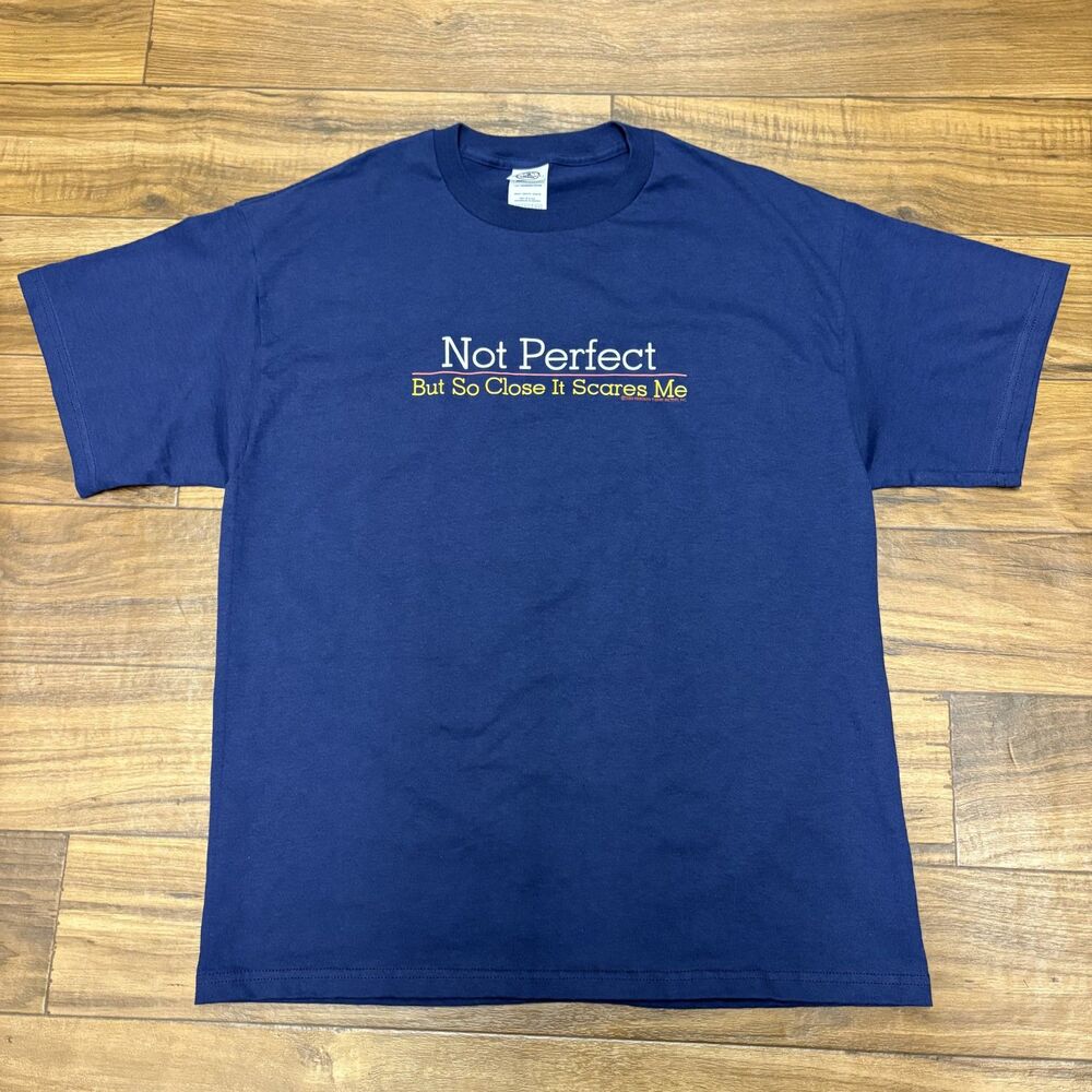 Vintage 2003 "Not Perfect But So Close" Humor Mens Size Large T Shirt Funny